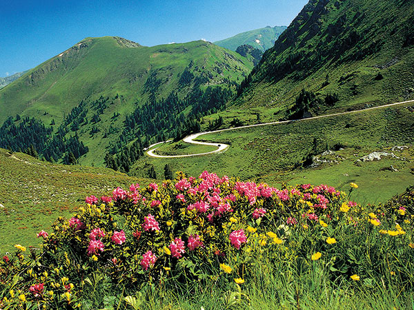 Kärnten - am glasklaren Weissensee Image