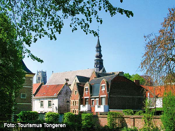 Trödelmarkt Tongeren & prachtvolles Lüttich Image