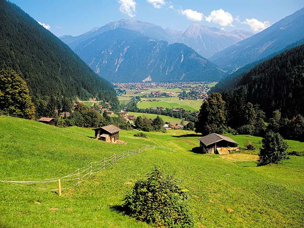 Almabtrieb auf der Gramaialm Image