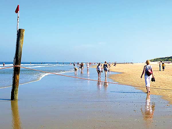 Inselhüpfen in Ostfriesland Image