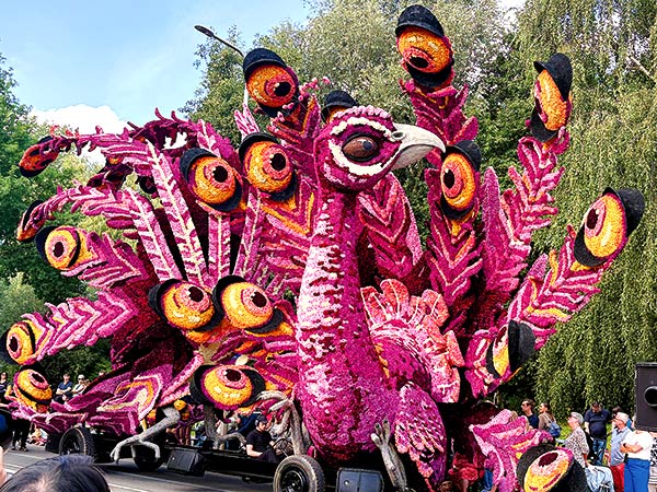 Blumenkorso Lichtenvoorde/Niederlande Image