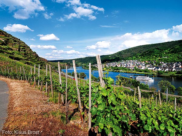 Wein und Mosel